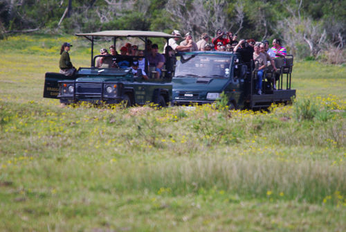 Kragga Kamma Game Park Hotel Port Elizabeth Exterior foto