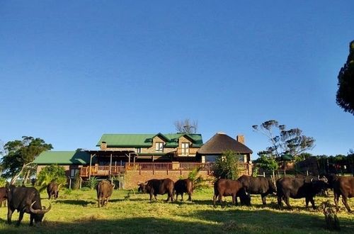 Kragga Kamma Game Park Hotel Port Elizabeth Exterior foto